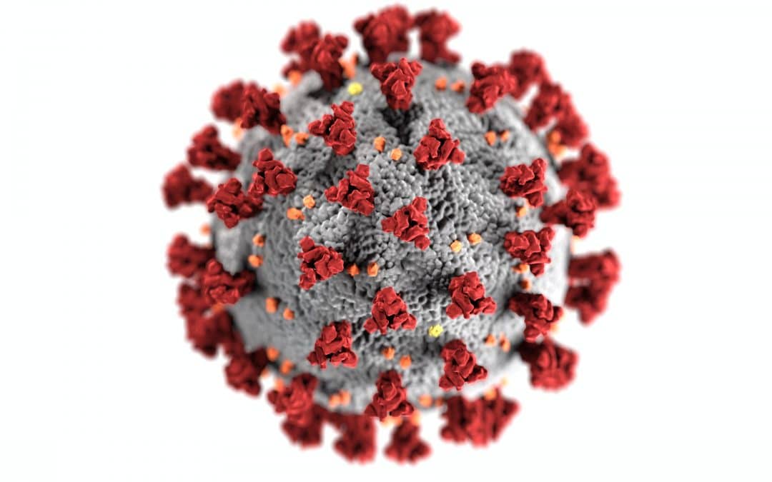 COVID19 - Coronavirus